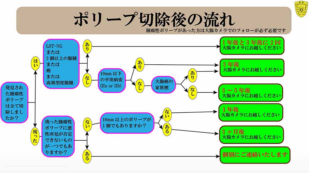 ポリープ切除後の流れ