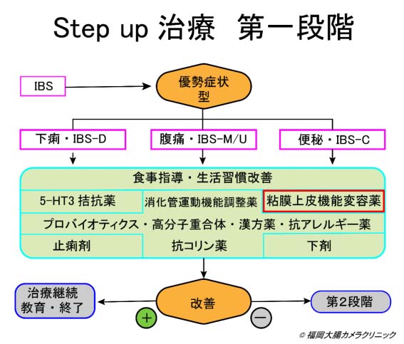 治療段階1（粘膜上皮機能変容薬）