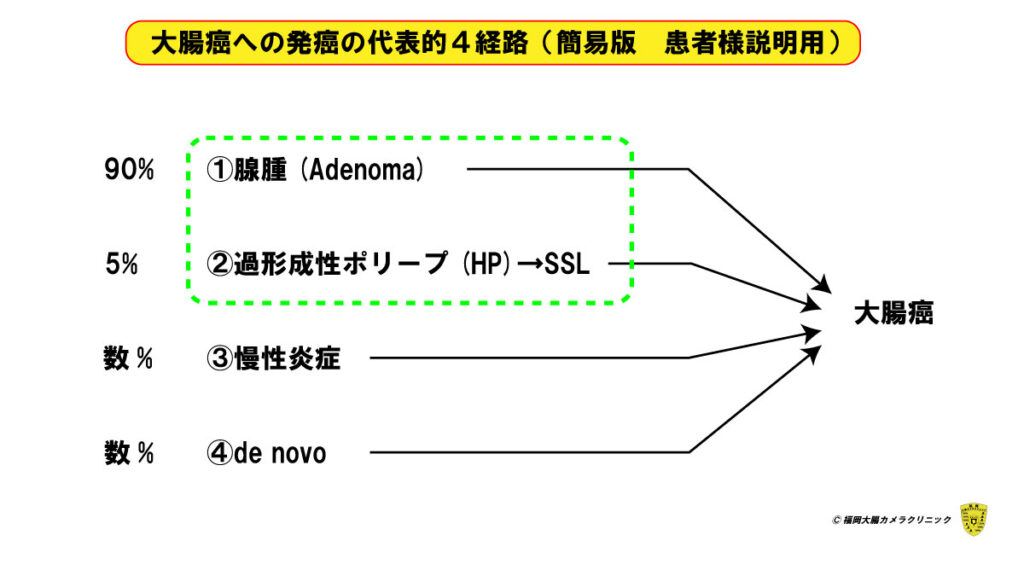 大腸癌の発癌経路